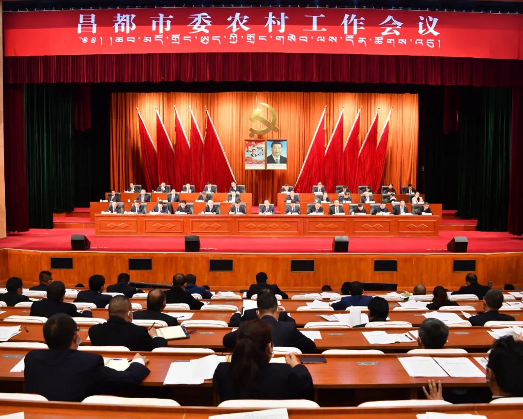市委副书记廖传锦就中共昌都市委员会,市人民政府《关于全面推进乡村