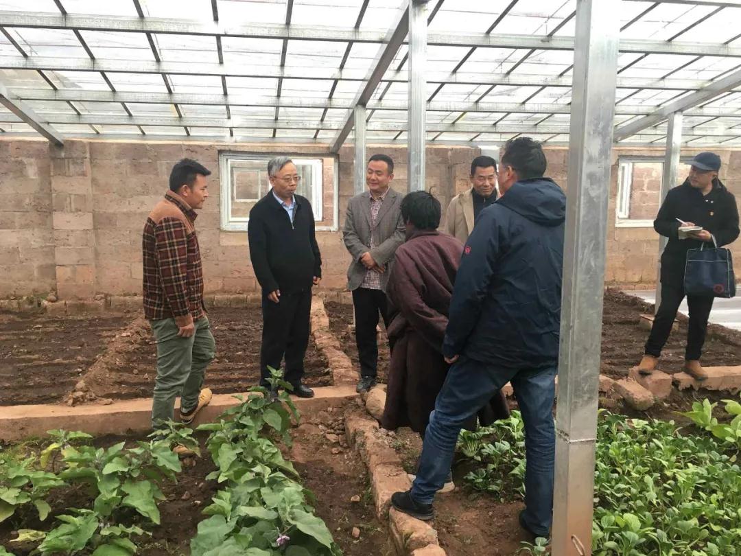 自治区农业农村厅厅长杜杰一行深入贡觉县开展农牧民增收差异化工作