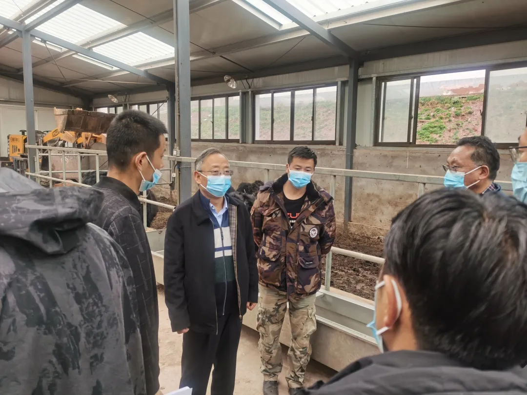 自治区农业农村厅党组副书记,厅长杜杰赴我区调研指导工作