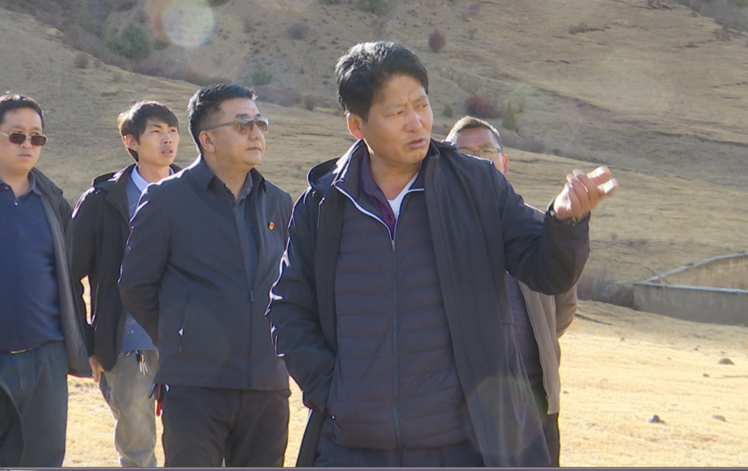 首页 新闻中心 区县动态