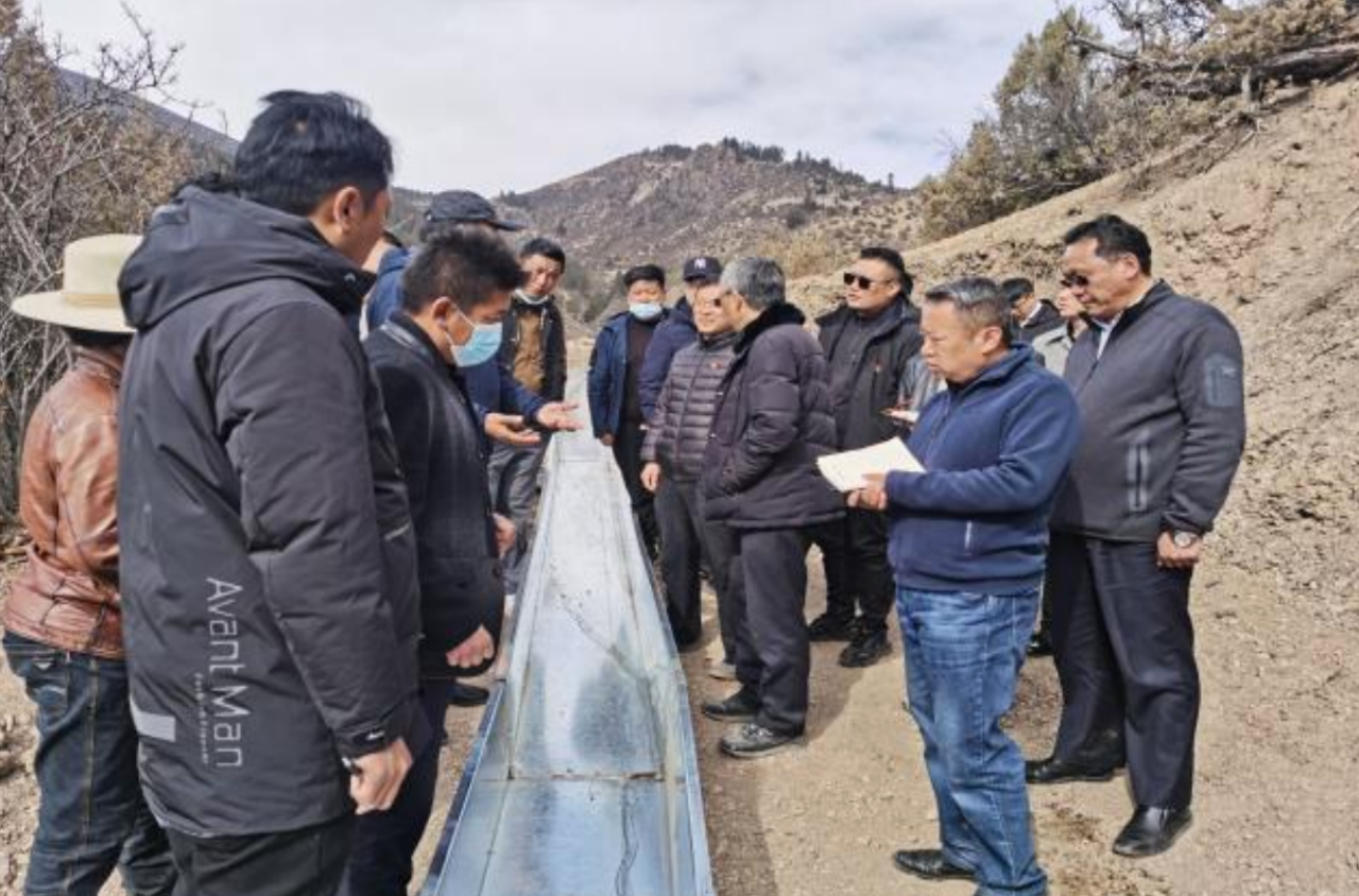 自治区农业农村厅党组副书记厅长杜杰一行深入洛隆县开展春季农牧业