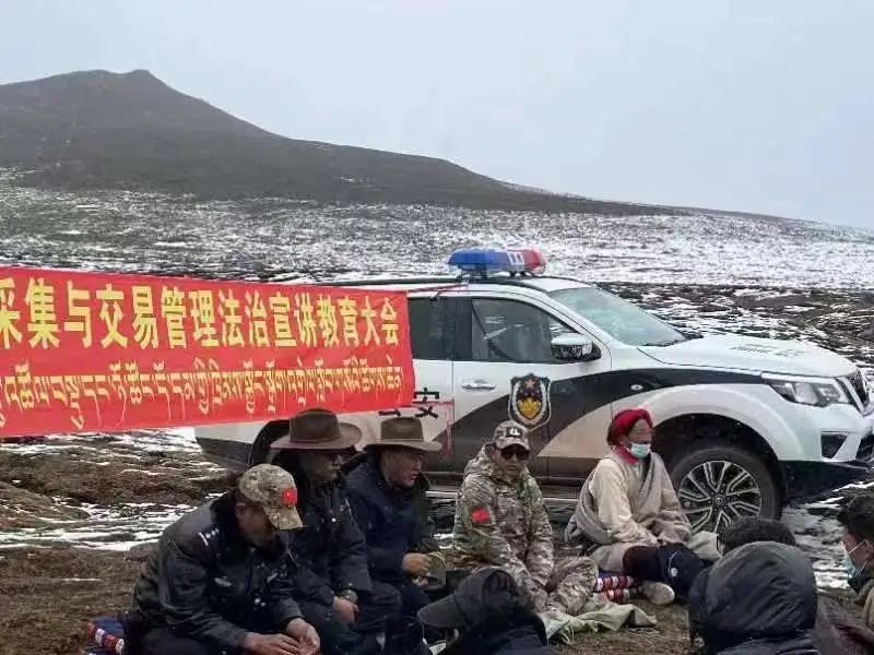 普布次仁深入拉妥乡虫草采挖点开展宣讲活动