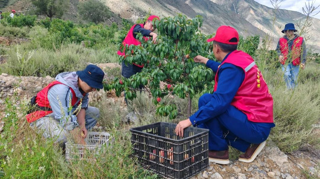 洛隆县马利镇培育文化旅游三气进一步激发文化旅游发展新动能